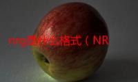 nrg是什么格式（NRG是什么格式）