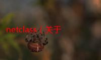 netclass（关于netclass的介绍）