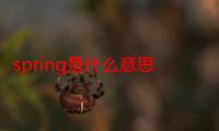 spring是什么意思英语（spring是什么意思）