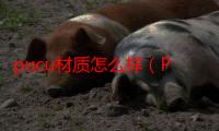 pucu材质怎么样（PUCU）