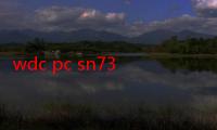 wdc pc sn730是固态吗-生活常识