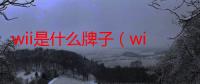 wii是什么牌子（wii是什么）