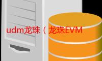 udm龙珠（龙珠EVM2.1问题）