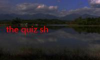 the quiz show剧情（the quiz show）