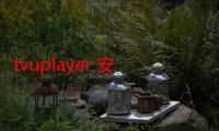 tvuplayer 安卓 下载（TVU Player）